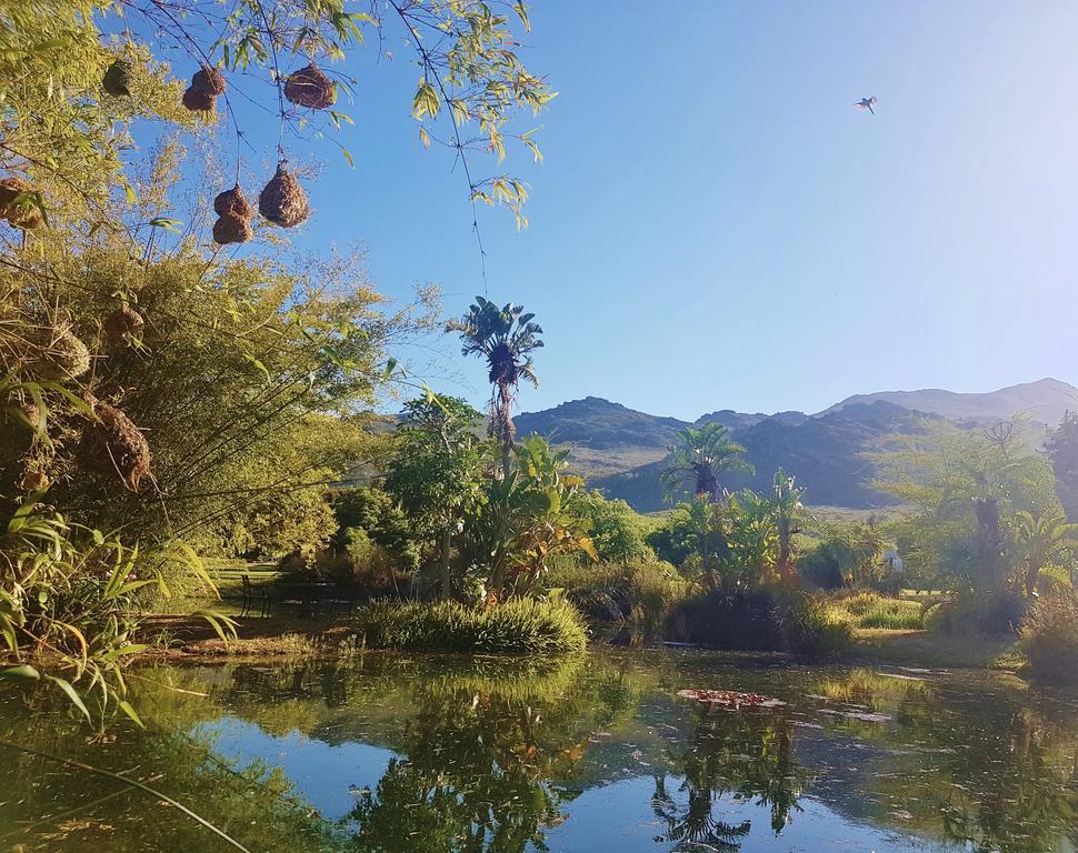 Val D'Or Estate Hotel Franschhoek Buitenkant foto